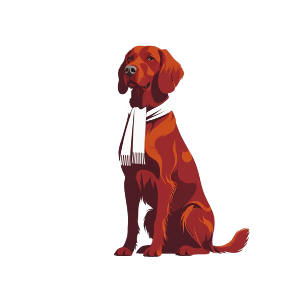 Setter Weather Sports Wear